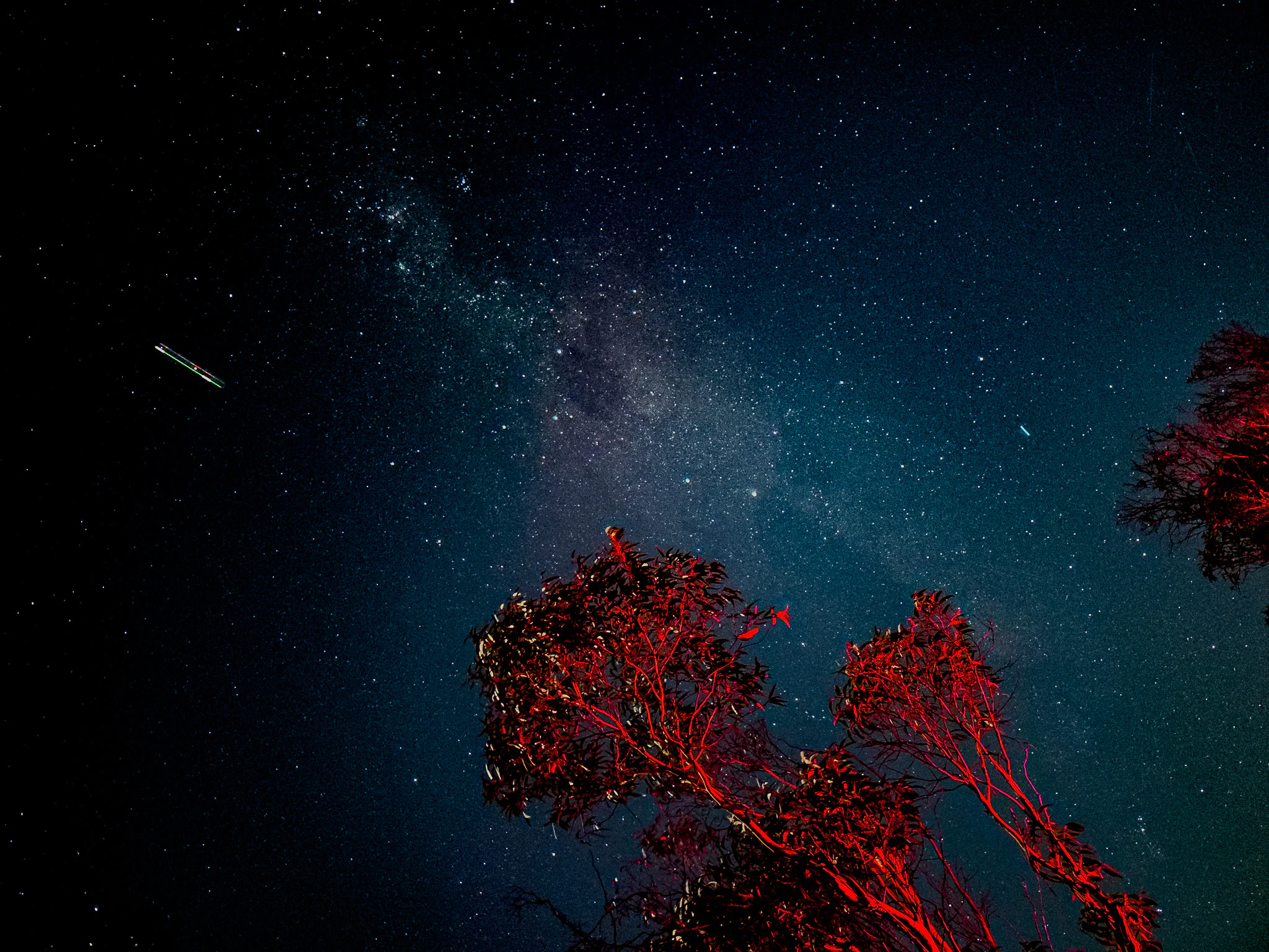 When you wish upon a star